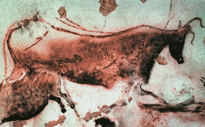 Иллюстрация к книге — Рассказ предка. Паломничество к истокам жизни [i_091.jpg]