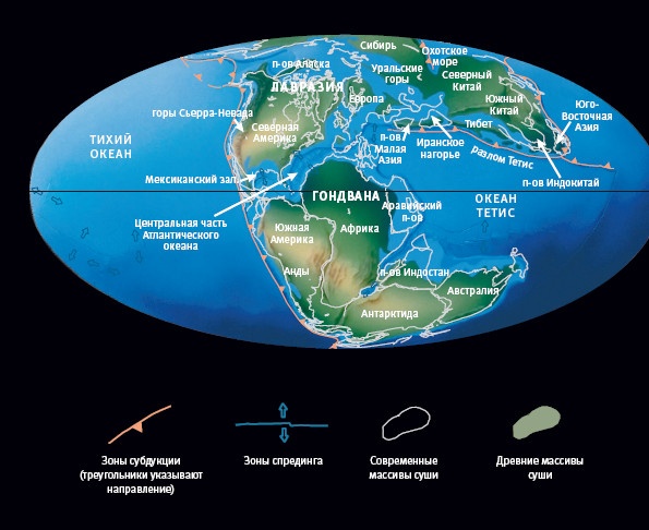 Иллюстрация к книге — Рассказ предка. Паломничество к истокам жизни [i_107.jpg]