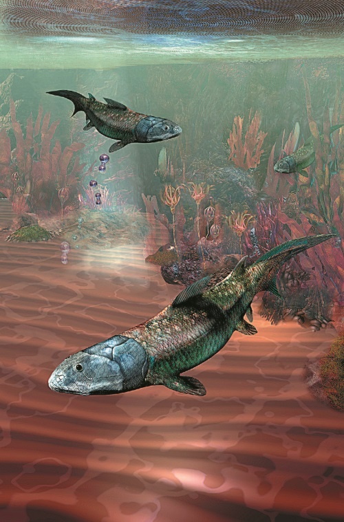 Иллюстрация к книге — Рассказ предка. Паломничество к истокам жизни [i_111.jpg]