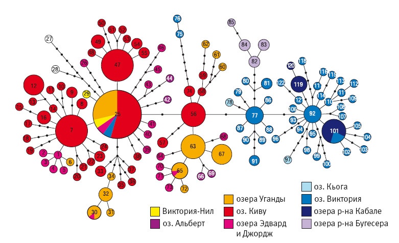 Иллюстрация к книге — Рассказ предка. Паломничество к истокам жизни [i_119.jpg]