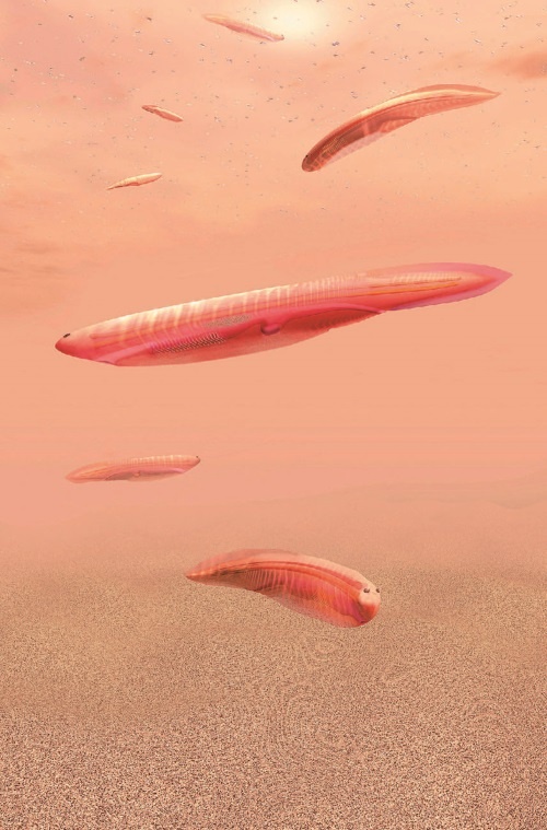 Иллюстрация к книге — Рассказ предка. Паломничество к истокам жизни [i_124.jpg]