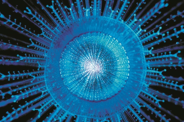 Иллюстрация к книге — Рассказ предка. Паломничество к истокам жизни [i_133.jpg]