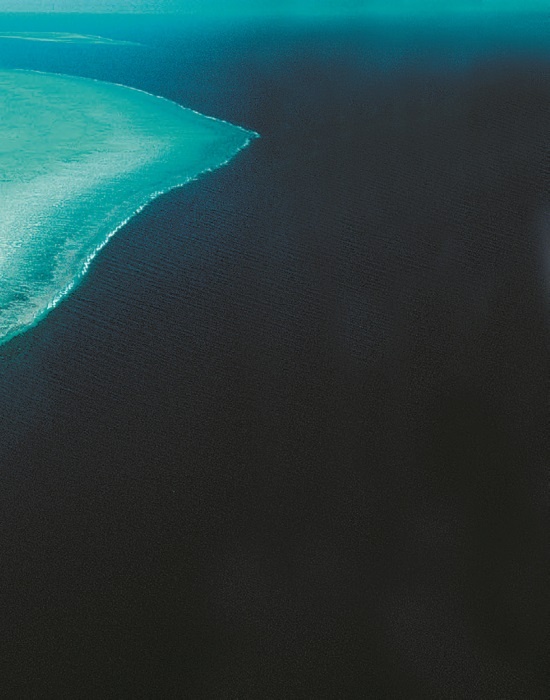 Иллюстрация к книге — Рассказ предка. Паломничество к истокам жизни [i_137.jpg]