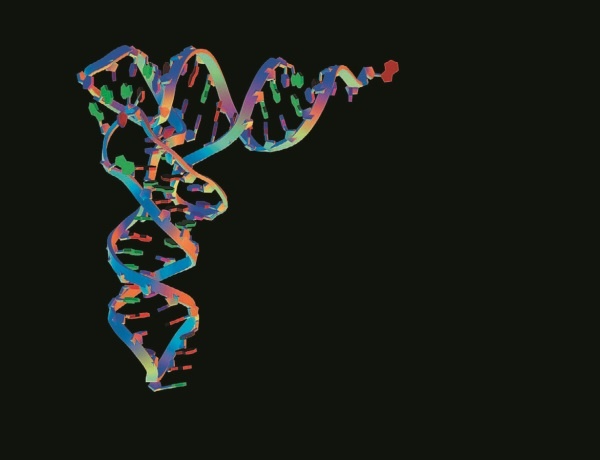 Иллюстрация к книге — Рассказ предка. Паломничество к истокам жизни [i_143.jpg]