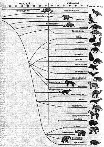 Иллюстрация к книге — Эволюция для всех, или Путь кентавра [_08.jpg]