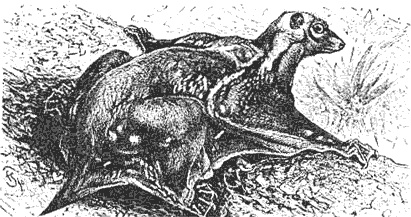 Иллюстрация к книге — Эволюция для всех, или Путь кентавра [_18.jpg]