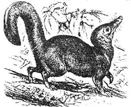 Иллюстрация к книге — Эволюция для всех, или Путь кентавра [_19.jpg]