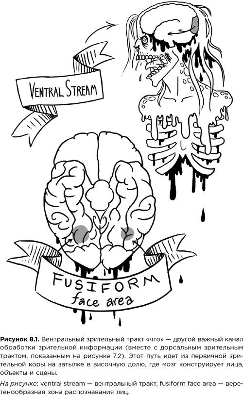Иллюстрация к книге — Мозг зомби. Научный подход к поведению ходячих мертвецов [i_021.jpg]