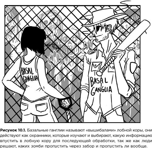 Иллюстрация к книге — Мозг зомби. Научный подход к поведению ходячих мертвецов [i_025.jpg]