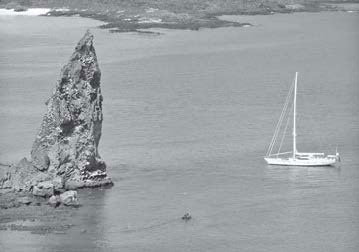 Иллюстрация к книге — Расшифрованная жизнь. Мой геном, моя жизнь [i_041.jpg]