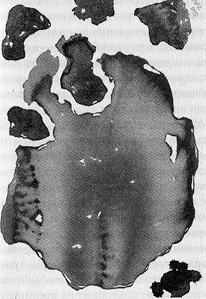 Иллюстрация к книге — Энергия, секс, самоубийство. Митохондрии и смысл жизни [i_003.jpg]