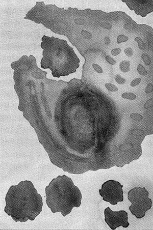 Иллюстрация к книге — Энергия, секс, самоубийство. Митохондрии и смысл жизни [i_012.jpg]