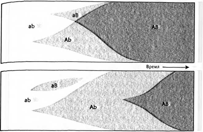 Иллюстрация к книге — Лестница жизни. Десять великих изобретений эволюции [img_16.jpg]