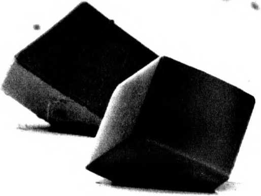 Иллюстрация к книге — Лестница жизни. Десять великих изобретений эволюции [img_25.jpg]