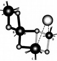 Иллюстрация к книге — Лестница жизни. Десять великих изобретений эволюции [img_9.jpg]