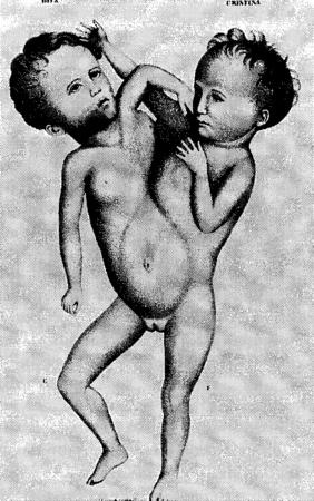 Иллюстрация к книге — Мутанты [i_005.jpg]