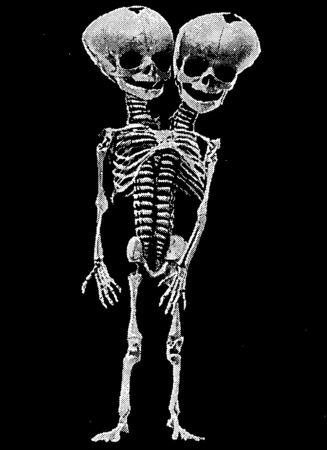 Иллюстрация к книге — Мутанты [i_007.jpg]