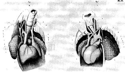 Иллюстрация к книге — Мутанты [i_009.jpg]