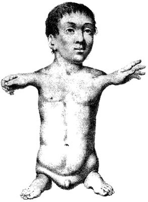 Иллюстрация к книге — Мутанты [i_025.jpg]