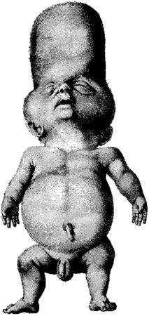 Иллюстрация к книге — Мутанты [i_027.jpg]