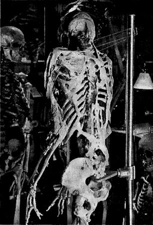 Иллюстрация к книге — Мутанты [i_029.jpg]