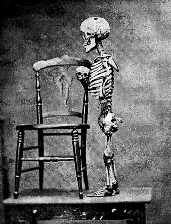 Иллюстрация к книге — Мутанты [i_031.jpg]