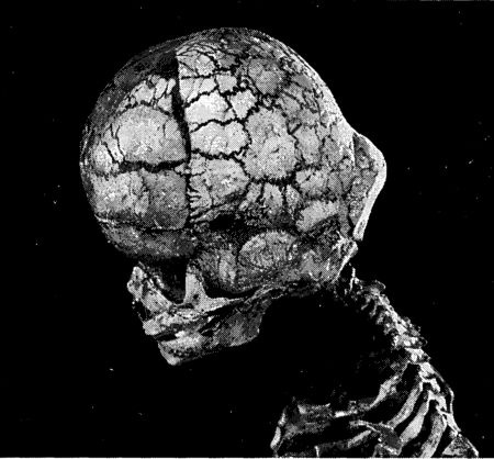 Иллюстрация к книге — Мутанты [i_032.jpg]