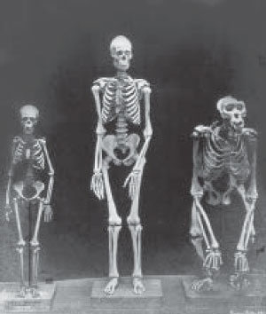 Иллюстрация к книге — Мутанты [i_037.jpg]