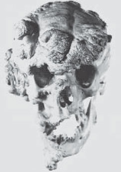 Иллюстрация к книге — Мутанты [i_043.jpg]