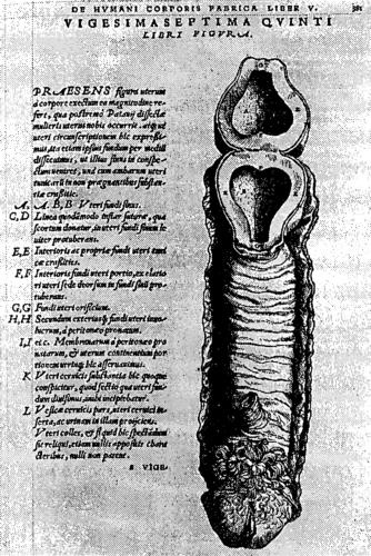 Иллюстрация к книге — Мутанты [i_045.jpg]