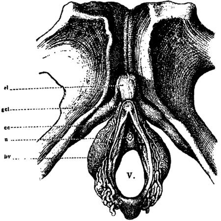 Иллюстрация к книге — Мутанты [i_046.jpg]