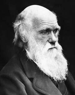 Иллюстрация к книге — Удивительная генетика [i_002.jpg]