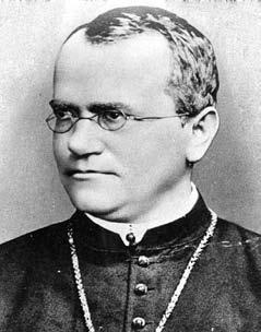 Иллюстрация к книге — Удивительная генетика [i_003.jpg]