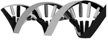 Иллюстрация к книге — Удивительная генетика [i_008.jpg]