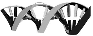 Иллюстрация к книге — Удивительная генетика [i_009.jpg]