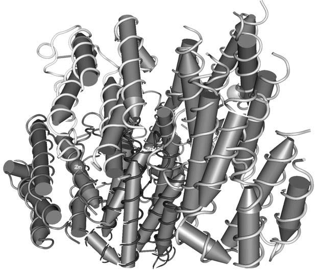 Иллюстрация к книге — Удивительная генетика [i_034.jpg]