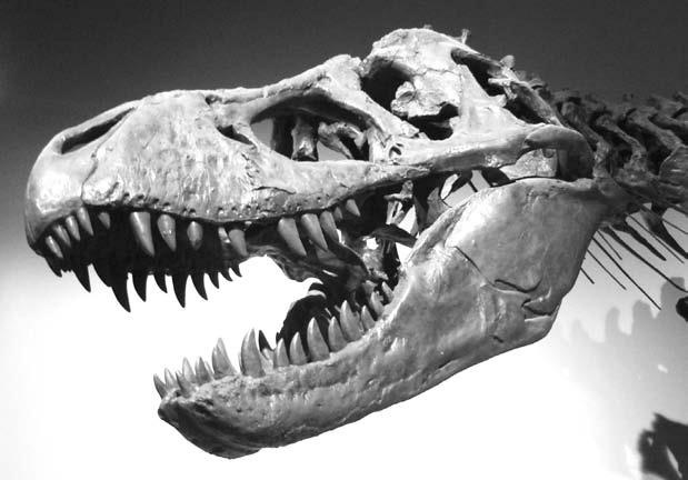 Иллюстрация к книге — Удивительная генетика [i_053.jpg]