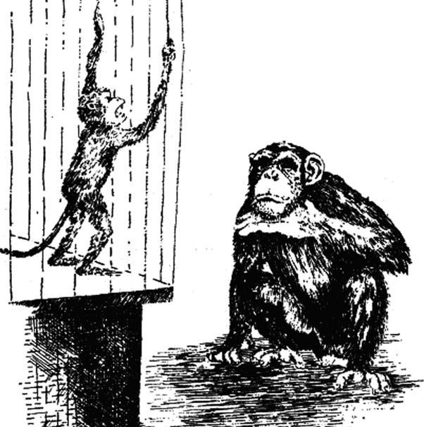 Иллюстрация к книге — Удивительная генетика [i_058.jpg]