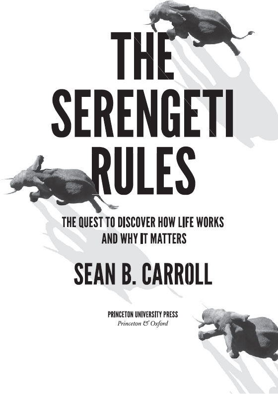 Иллюстрация к книге — Закон "джунглей". В поисках формулы жизни [_1.jpg]