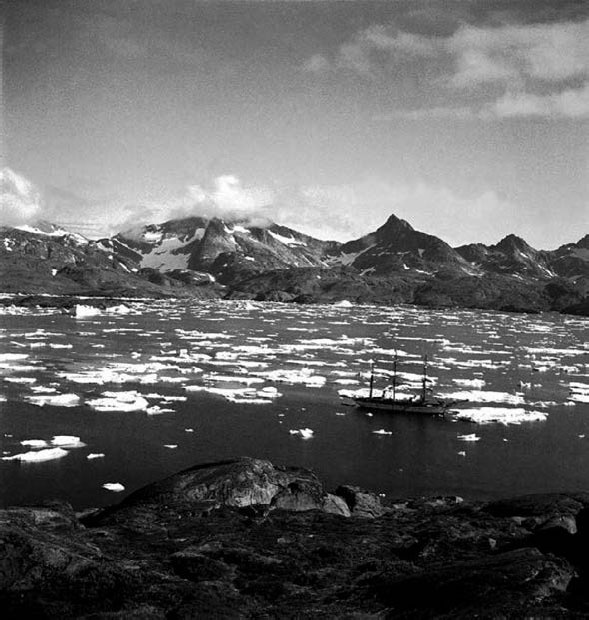 Иллюстрация к книге — Закон "джунглей". В поисках формулы жизни [_11.jpg]