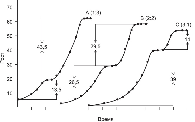 Иллюстрация к книге — Закон "джунглей". В поисках формулы жизни [_13.jpg]