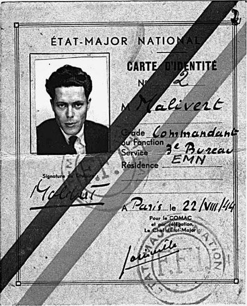 Иллюстрация к книге — Закон "джунглей". В поисках формулы жизни [_14.jpg]