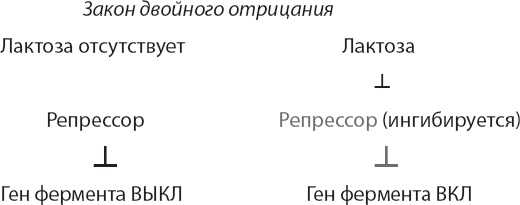 Иллюстрация к книге — Закон "джунглей". В поисках формулы жизни [_17.jpg]