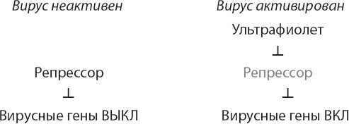 Иллюстрация к книге — Закон "джунглей". В поисках формулы жизни [_18.jpg]