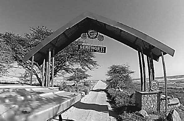 Иллюстрация к книге — Закон "джунглей". В поисках формулы жизни [_2.jpg]