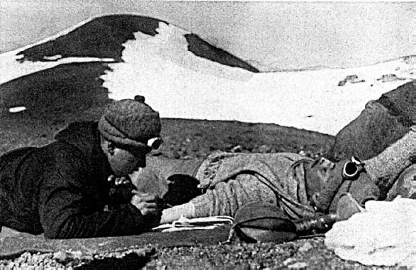 Иллюстрация к книге — Закон "джунглей". В поисках формулы жизни [_21.jpg]