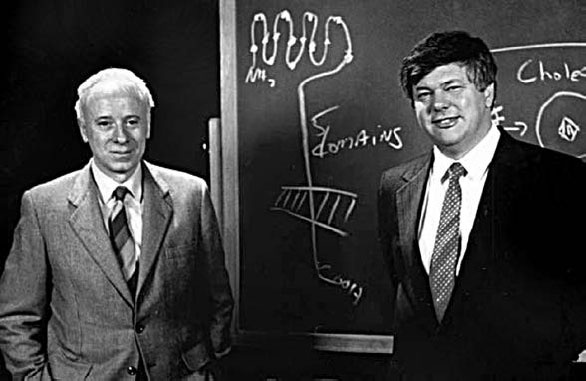 Иллюстрация к книге — Закон "джунглей". В поисках формулы жизни [_26.jpg]