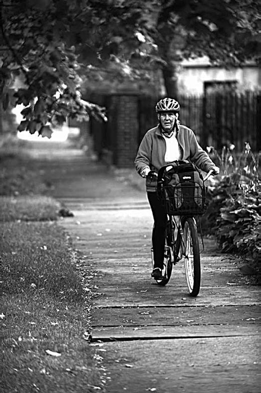 Иллюстрация к книге — Закон "джунглей". В поисках формулы жизни [_27.jpg]