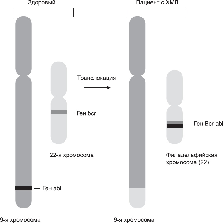 Иллюстрация к книге — Закон "джунглей". В поисках формулы жизни [_29.jpg]