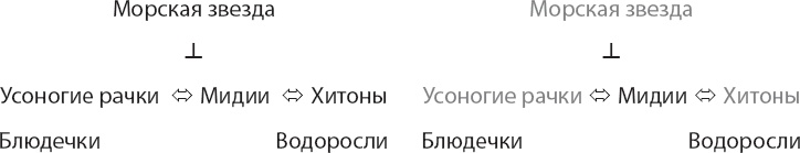 Иллюстрация к книге — Закон "джунглей". В поисках формулы жизни [_33.jpg]